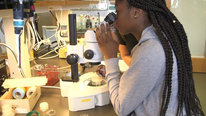 Icon for: My STEM Story: Students Explore Science Identities