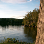 Icon for: Alexa Maille